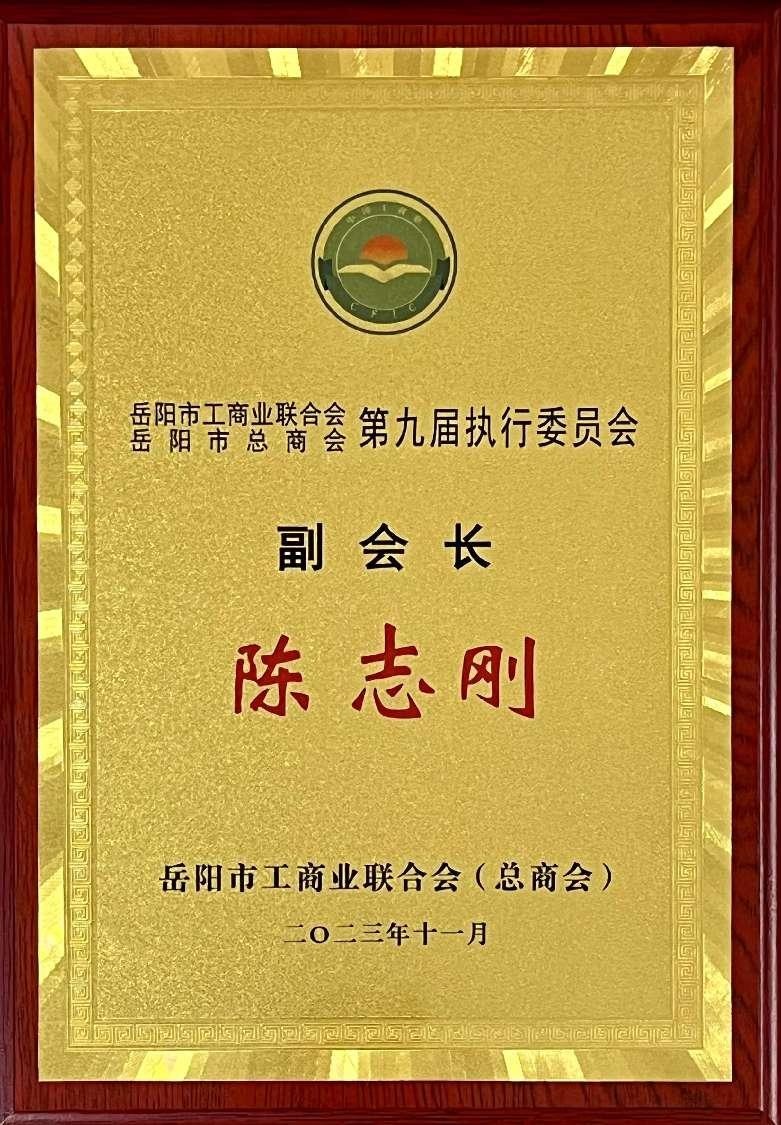 第九届执行委员会副会长