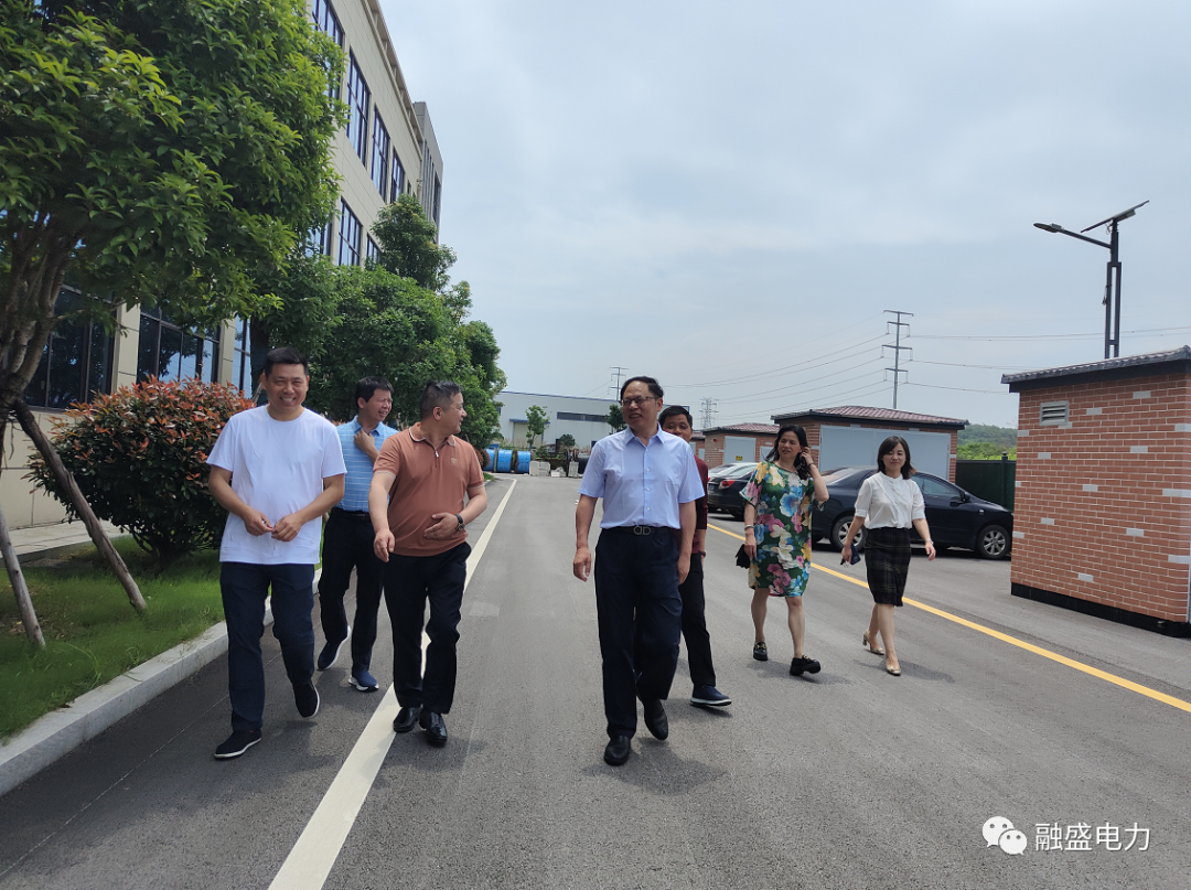湖南省委政策研究室李先吉副主任莅临融盛电力产业园调研指导工作