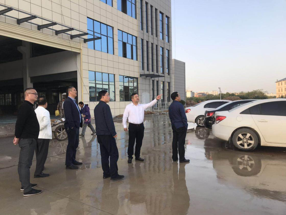 岳阳市城陵矶新港区主要领导莅临我公司指导工作