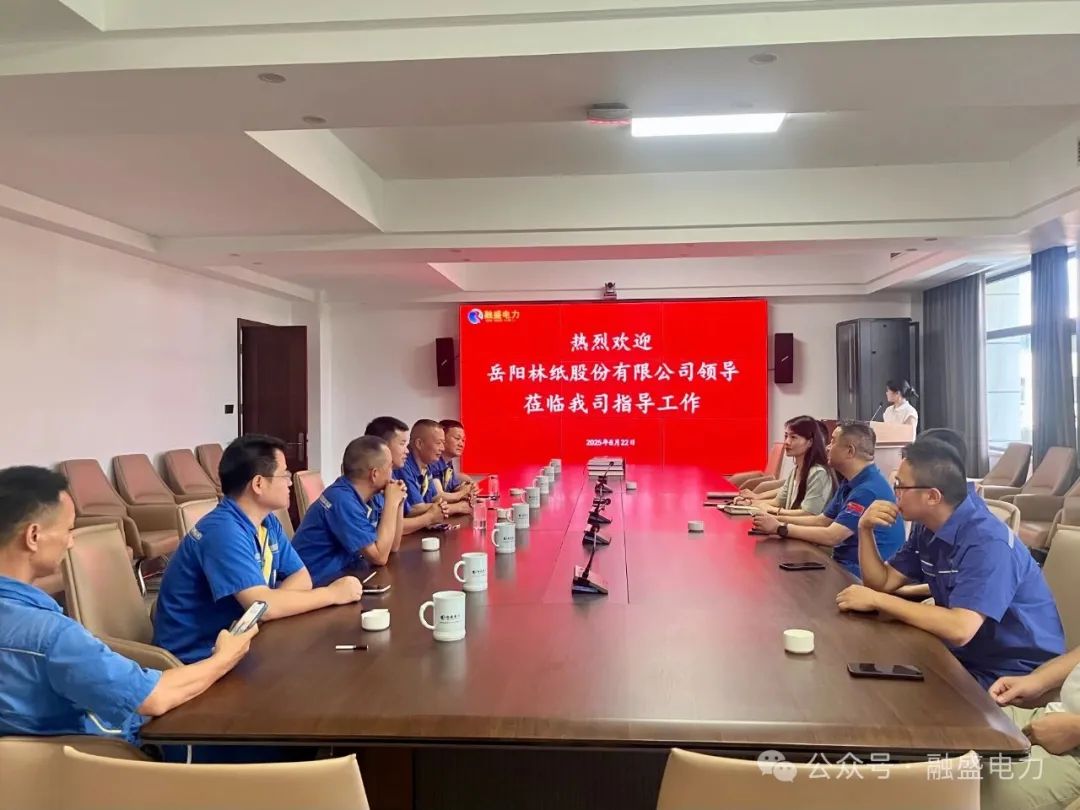 岳阳林纸股份有限公司领导与电气方面专家莅临融盛电力集团考察交流